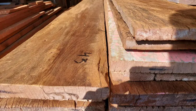 Portas madeira demolição fabrica